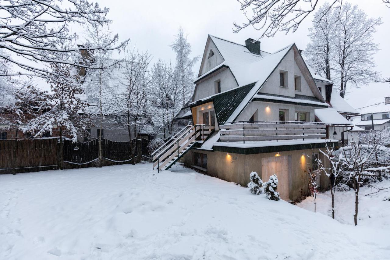 Dom Pod Jesionem Chalet